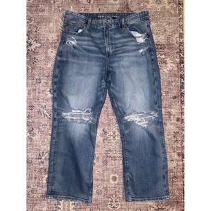 American Eagle Outfitters Women's Size 18 Short Distressed Straight Leg Jeans